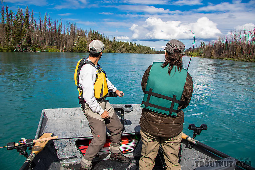 Lena with a trout on the line From the Kenai River in Alaska.