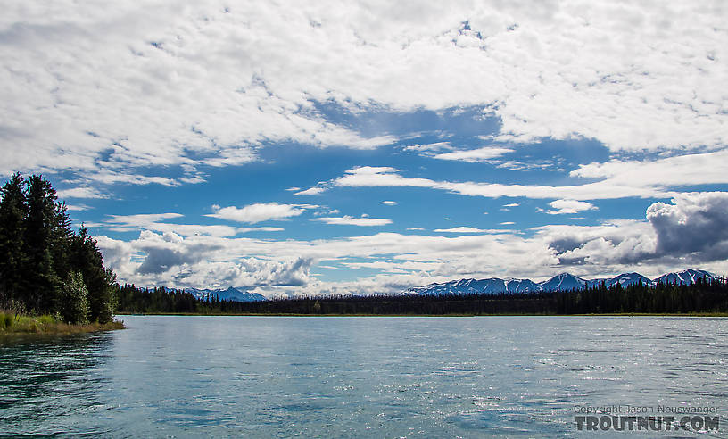 View to the Kenai Mountains from the river below Skilak Lake From the Kenai River in Alaska.