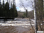  From the Bois Brule River in Wisconsin.