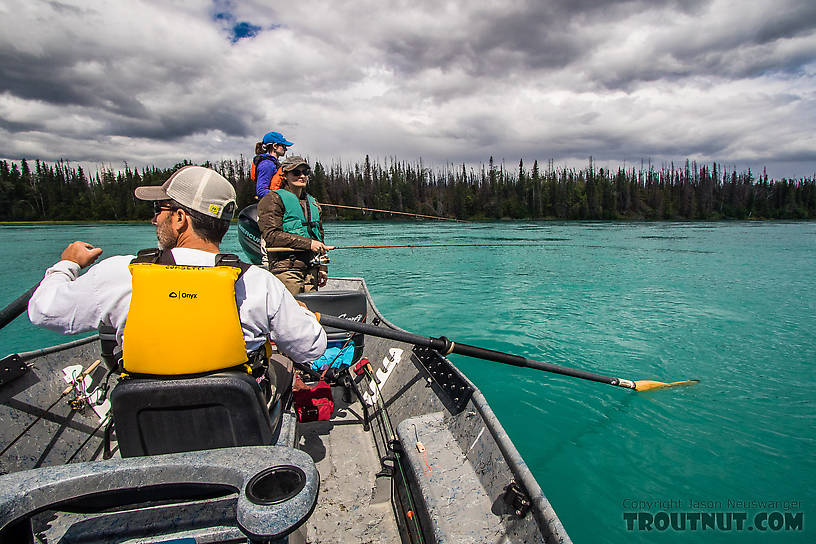  From the Kenai River in Alaska.