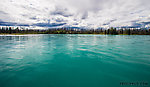  From the Kenai River in Alaska.