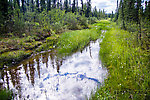  From the Gulkana River in Alaska.