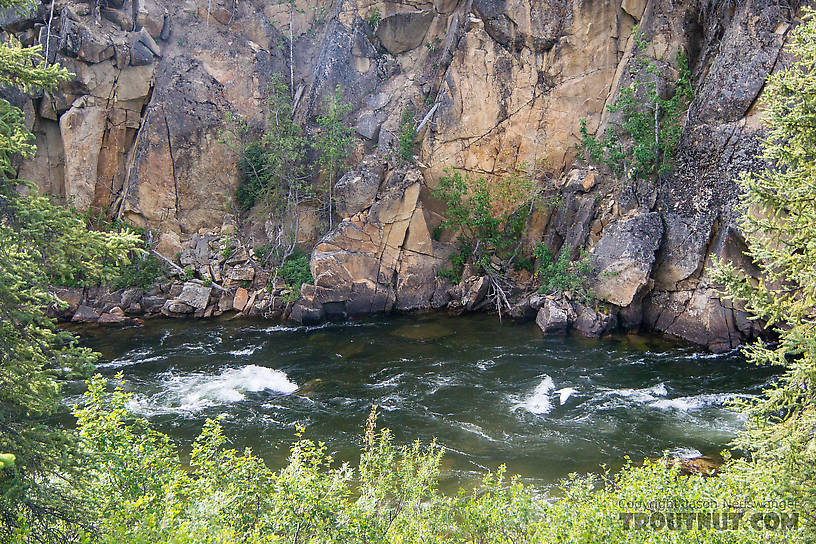  From the Gulkana River in Alaska.