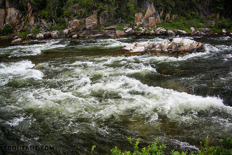  From the Gulkana River in Alaska.