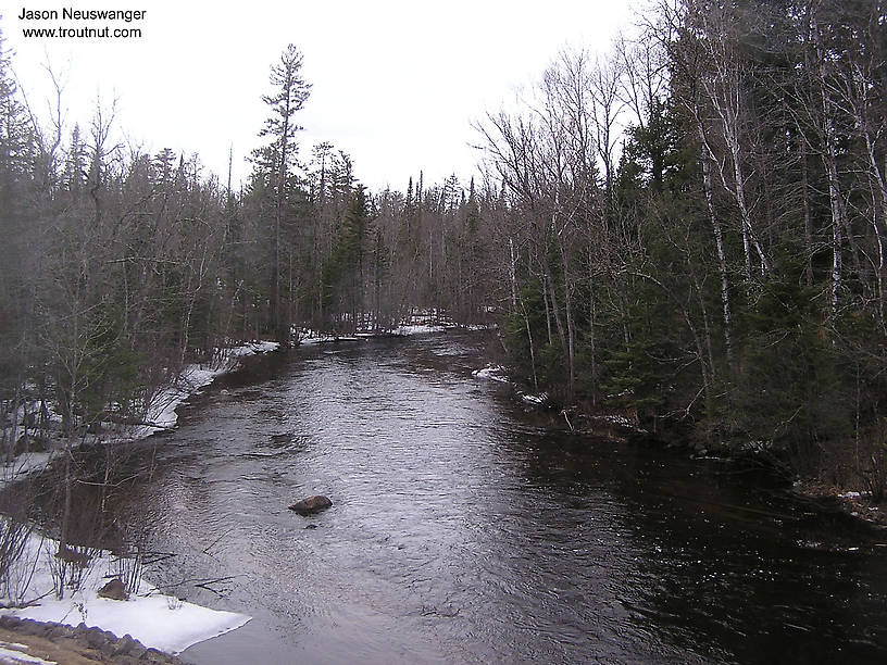  From the Bois Brule River in Wisconsin.