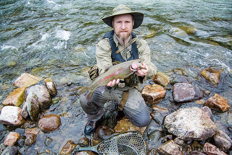 A 17-inch rainbow I caught Thursday evening From the Gulkana River in Alaska.