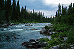  From the Gulkana River in Alaska.