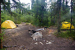 Our campsite. Although nobody in their right mind walks the trail we took in to the river, the fishing spot and campsite see quite a bit of traffic from people doing a popular 4-5 day float trip. From the Gulkana River in Alaska.