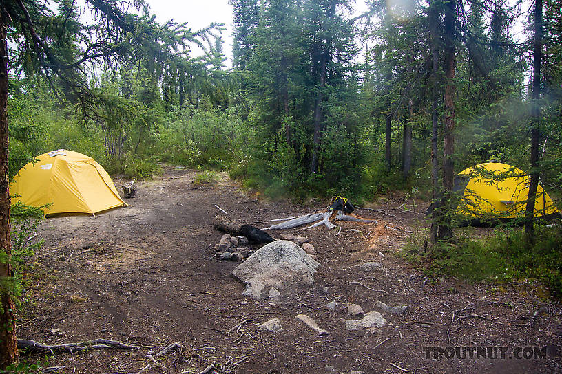 Our campsite. Although nobody in their right mind walks the trail we took in to the river, the fishing spot and campsite see quite a bit of traffic from people doing a popular 4-5 day float trip. From the Gulkana River in Alaska.