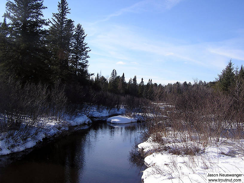 I sampled nymphs in this small trout stream and found a useful mix. From Big Brook in Wisconsin.