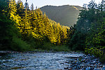  From the South Fork Snoqualmie River in Washington.