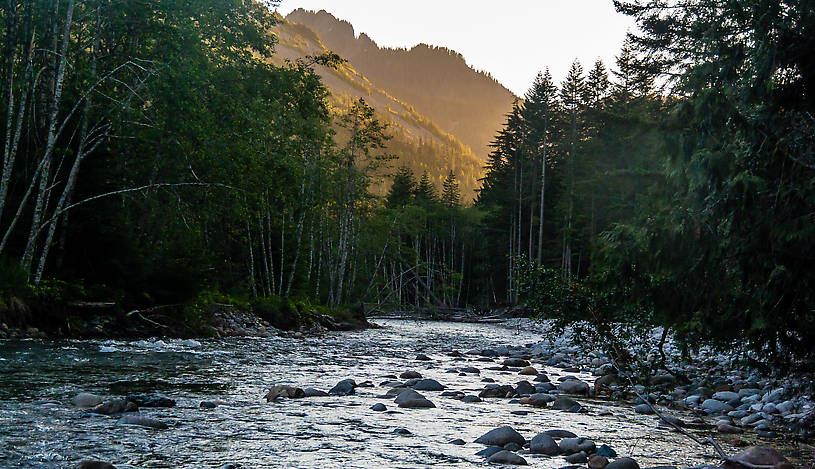  From the South Fork Snoqualmie River in Washington.