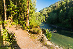  From the South Fork Stillaguamish River in Washington.