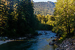  From the South Fork Stillaguamish River in Washington.