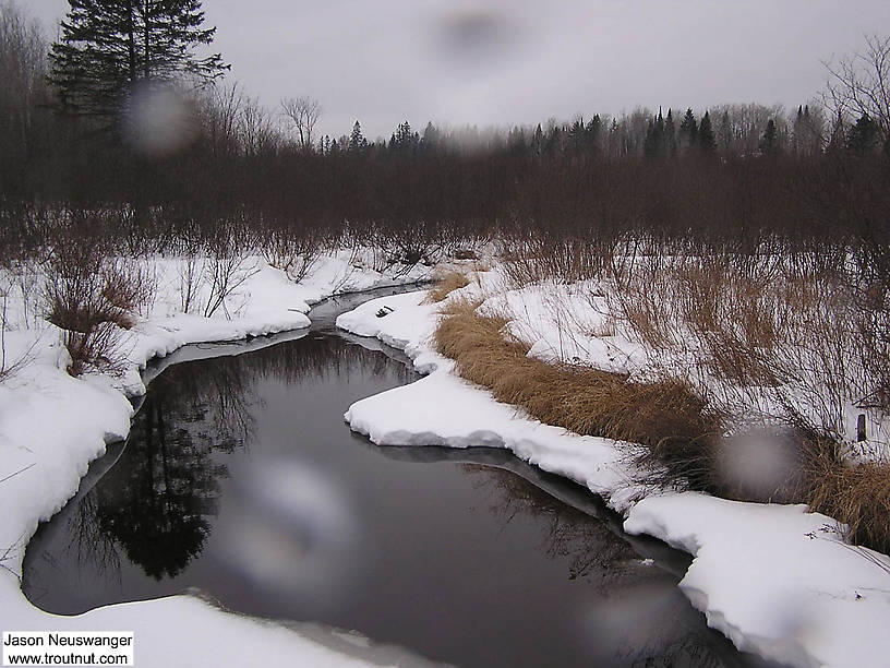 I had excellent luck sampling burrowing mayfly nymphs here in the headwaters of a trouty small stream. From the Marengo River in Wisconsin.