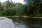  From the South Fork Stillaguamish River in Washington.