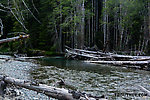  From the South Fork Sauk River in Washington.