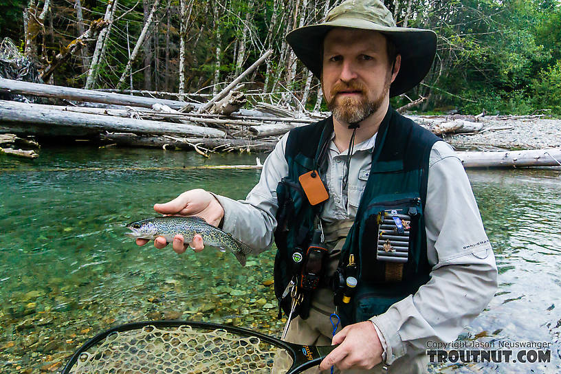 A westslope cutthroat, I think. From the South Fork Sauk River in Washington.