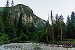  From the South Fork Sauk River in Washington.