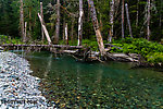  From the South Fork Sauk River in Washington.