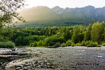  From the North Fork Stillaguamish River in Washington.