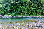  From the North Fork Stillaguamish River in Washington.