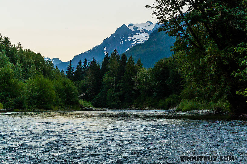  From the North Fork Stillaguamish River in Washington.