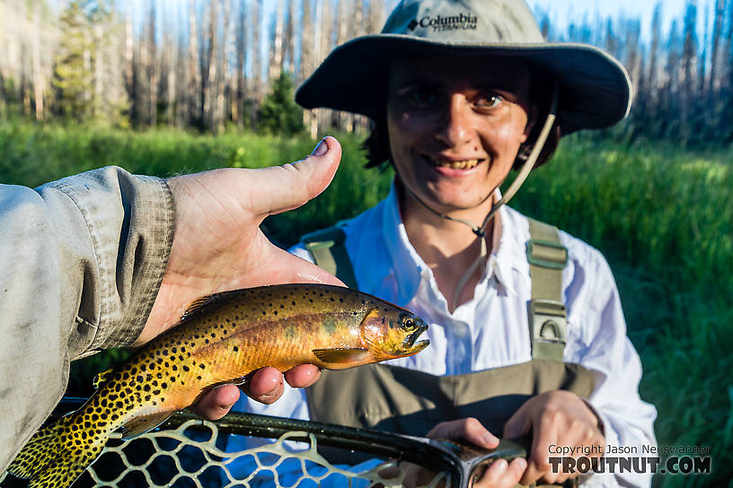 My wife Lena's best fish of the day From Mystery Creek # 199 in Washington.