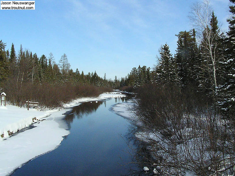 Here's another of my very frigid early nymph sampling sites. From the Bois Brule River in Wisconsin.