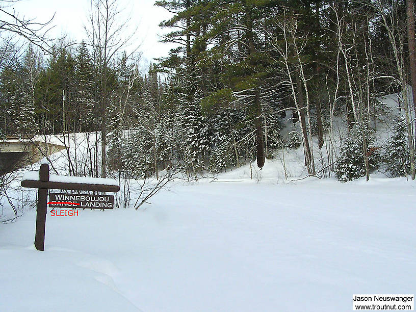 I had hoped to sample some nymphs here, but I didn't bring an ice auger. From the Bois Brule River in Wisconsin.