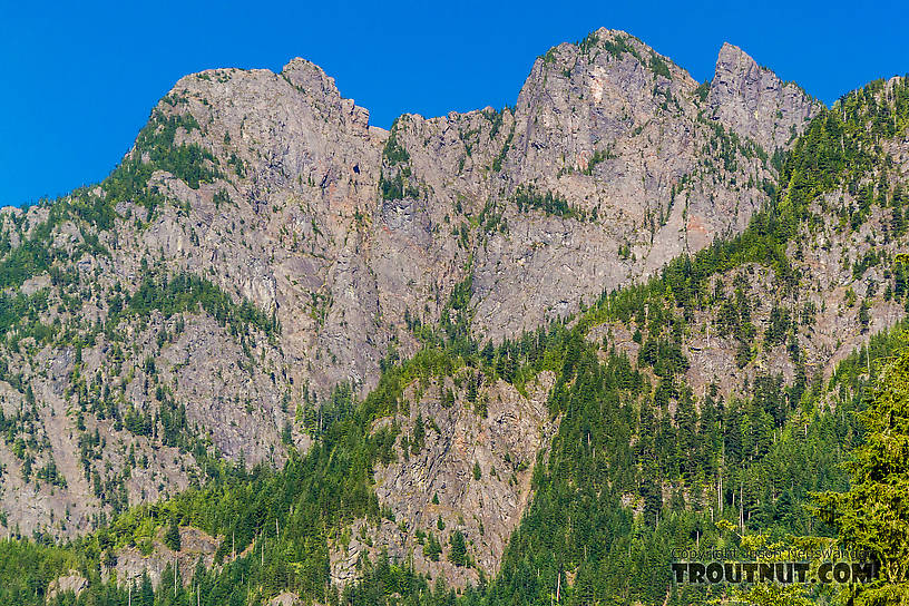  From the Middle Fork Snoqualmie River in Washington.