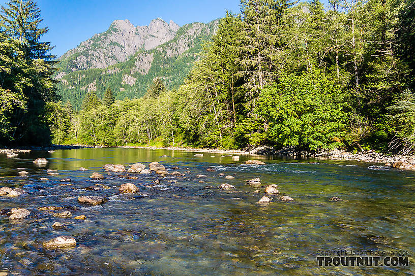  From the Middle Fork Snoqualmie River in Washington.