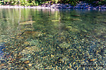  From the Middle Fork Snoqualmie River in Washington.