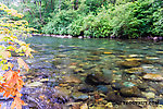  From the Cedar River in Washington.