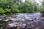  From the Cedar River in Washington.