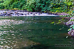  From the Cedar River in Washington.