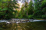  From the Cedar River in Washington.