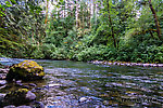  From the Cedar River in Washington.