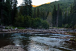  From the American River in Washington.