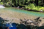  From the Ohanopecosh River in Washington.