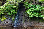 Tiny tributary trickling in over the bedrock From Mystery Creek # 200 in Washington.