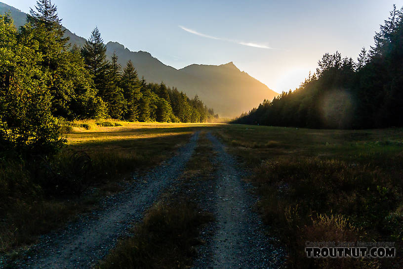  From the South Fork Snoqualmie River in Washington.