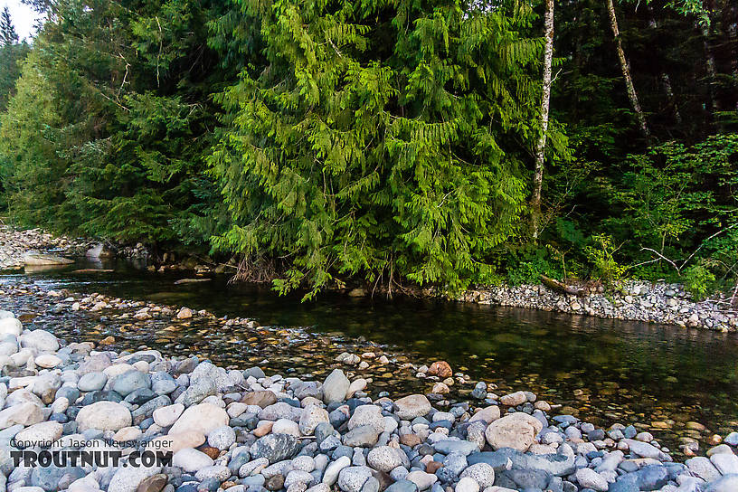  From the South Fork Snoqualmie River in Washington.