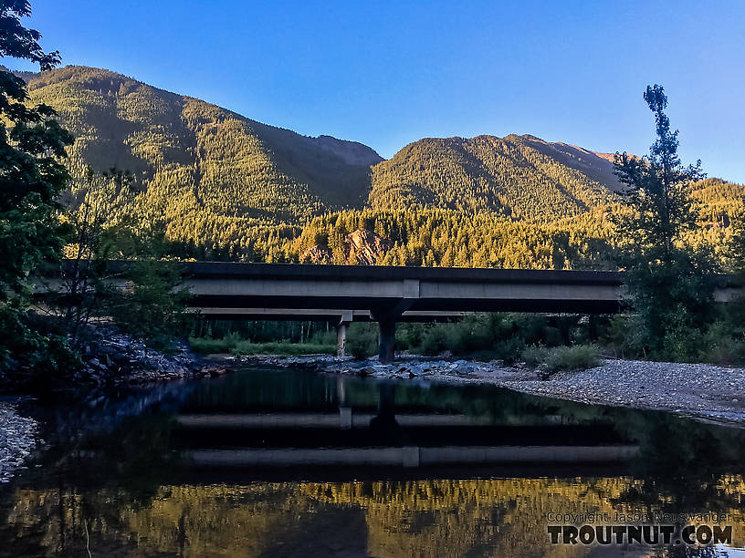  From the South Fork Snoqualmie River in Washington.