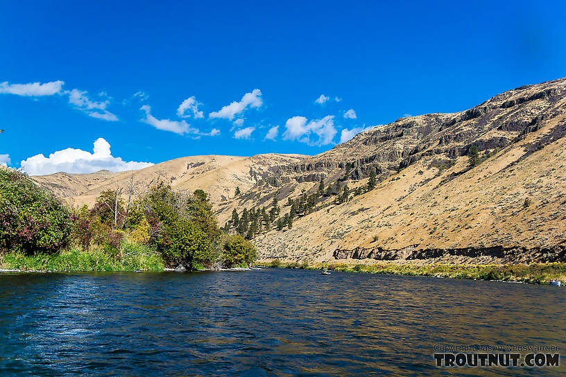  From the Yakima River in Washington.