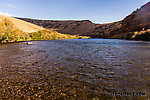  From the Yakima River in Washington.