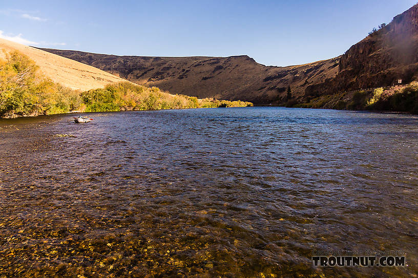  From the Yakima River in Washington.