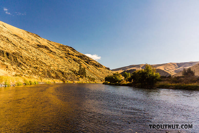  From the Yakima River in Washington.