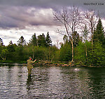 A 20-inch brown jumps at the end of my dad's fly line, but the picture quality isn't the best.  He could just as easily be shaking his fist at a beaver. From the Namekagon River, Guillotine Hole in Wisconsin.