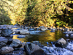  From the Taylor River in Washington.